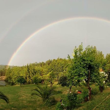 Quinta nas Colinas Villa Sao Vicente da Beira Bagian luar foto