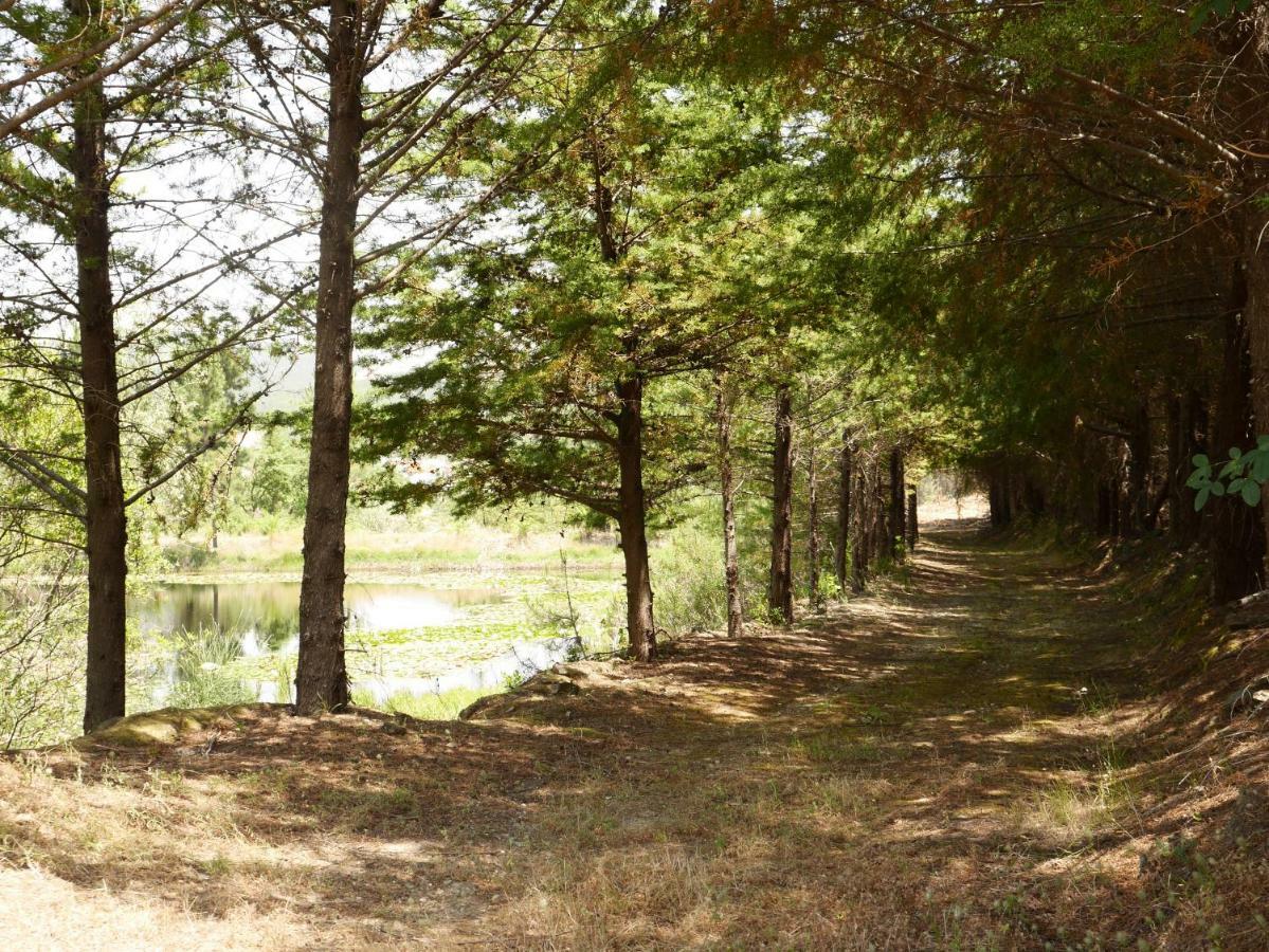 Quinta nas Colinas Villa Sao Vicente da Beira Bagian luar foto