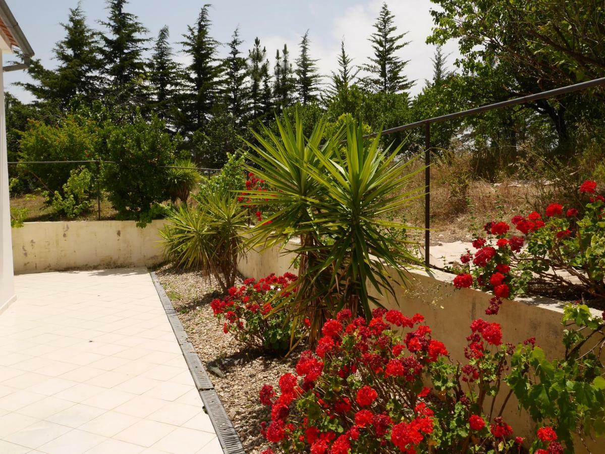 Quinta nas Colinas Villa Sao Vicente da Beira Bagian luar foto