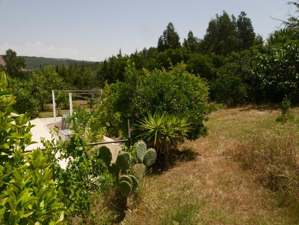 Quinta nas Colinas Villa Sao Vicente da Beira Bagian luar foto