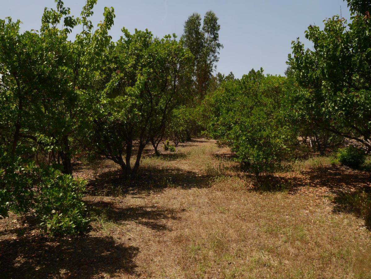 Quinta nas Colinas Villa Sao Vicente da Beira Bagian luar foto