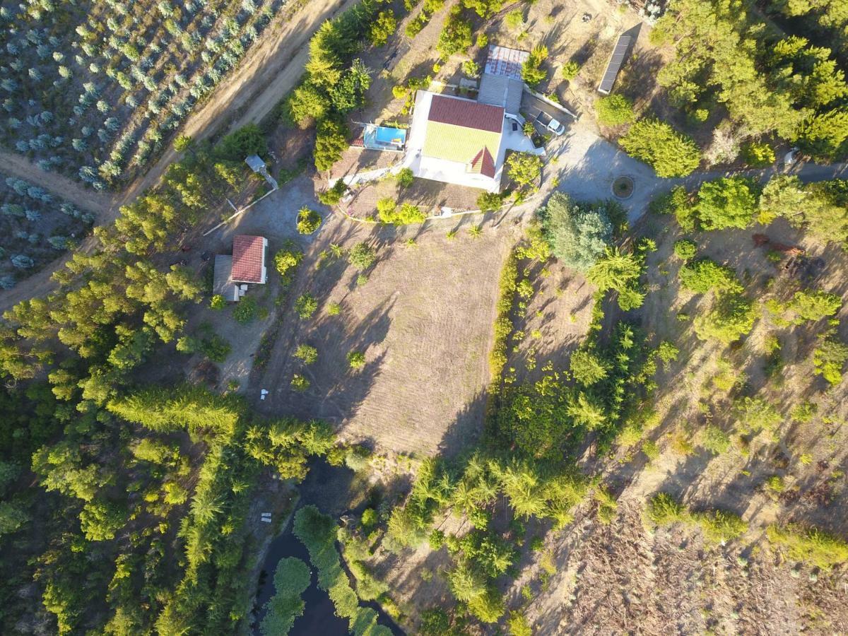 Quinta nas Colinas Villa Sao Vicente da Beira Bagian luar foto